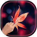 Magic Ripple - Maple Leaves Live Wallpaper APK