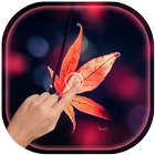 Magic Ripple - Maple Leaves Live Wallpaper آئیکن