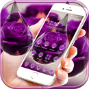 Water drop rose Theme purple APK