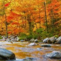 Autumn Water LWP 스크린샷 2