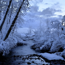 Paesaggi Innevati Water LWP APK