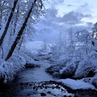 Paesaggi Innevati Water LWP capture d'écran 1