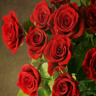 Roses Water Effect آئیکن