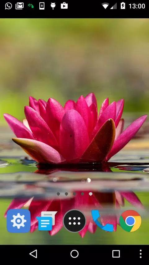 water lily live wallpaper APK for Android Download water lily live wallpaper APK for Android Download