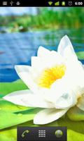 water lily live wallpaper स्क्रीनशॉट 1