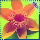 Origami Flower Tutorial APK