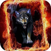 Wolf in Fiery Frame a live