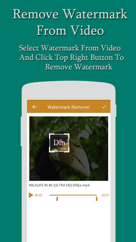 free video watermark removal tool crack