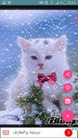 صور متحركة للواتس آب Ekran Görüntüsü 2