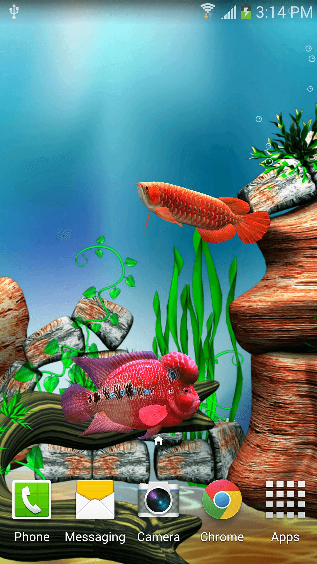 3d Wallpaper Live Fish Image Num 42