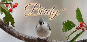 Bird Live Wallpaper + Keyboard