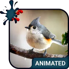 Bird Live Wallpaper + Keyboard アプリダウンロード