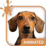 Doggy Dream Animated Keyboard  icône