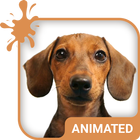 Doggy Dream Animated Keyboard  أيقونة