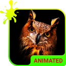Owl Animated Keyboard + Live W APK
