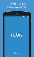 Nabız পোস্টার