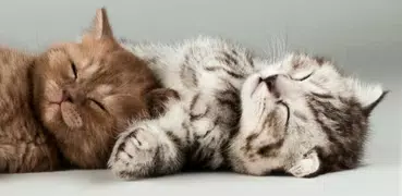 I need hugs