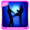 Melhor treinamento em artes marciais