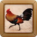 APK Junglefowl Sounds Ringtone