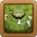 Anaconda Snake Wallpapers APK