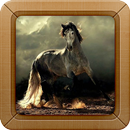 Arabian Horse Wallpapers APK