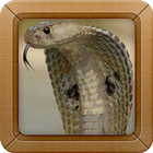 King Cobra Wallpapers أيقونة