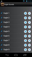 Eagle and Hawk Sounds Ringtone capture d'écran 1