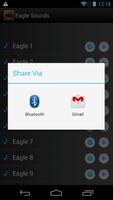 Eagle and Hawk Sounds Ringtone syot layar 3