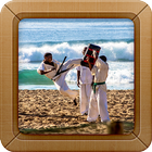 Karate Wallpapers icono