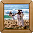 Karate Wallpapers आइकन