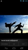 Karate Wallpapers imagem de tela 3