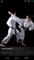 Karate Wallpapers اسکرین شاٹ 1