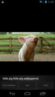 Cute Little Pig Wallpapers HD capture d'écran 2