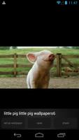 Cute Little Pig Wallpapers HD ภาพหน้าจอ 2