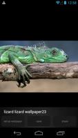 Lizard Wallpapers Pictures screenshot 2