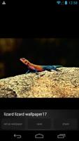 Lizard Wallpapers Pictures imagem de tela 3