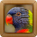Parrot Bird Sounds Ringtone APK