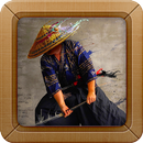 Japanese Samurai Wallpapers APK
