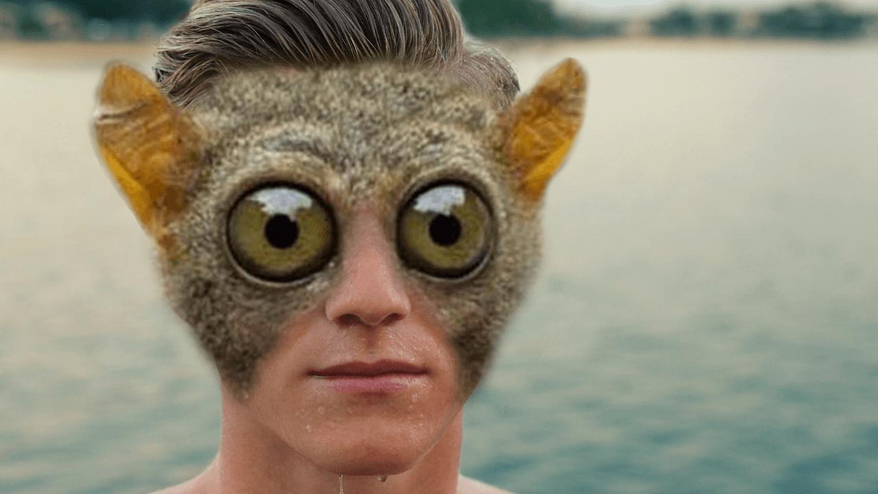 Face morphing website Face morphing website