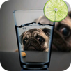 Caméra PIP APK