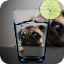 Caméra PIP APK
