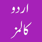 Urdu Columns 图标