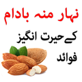 Badam k Faide