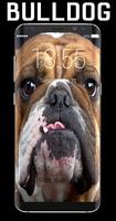 Bulldog Lock Screen Affiche