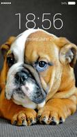 برنامه‌نما Bulldog Lock Screen عکس از صفحه