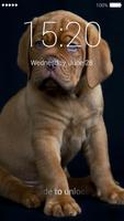 Cute Puppy Lock Screen پوسٹر