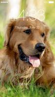 Golden Retriever Lock Screen اسکرین شاٹ 2