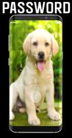 Labrador Retriever Lock Screen syot layar 1
