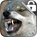 Wolf Lock Screen APK