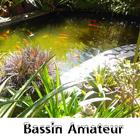 Amateur de bassin icon